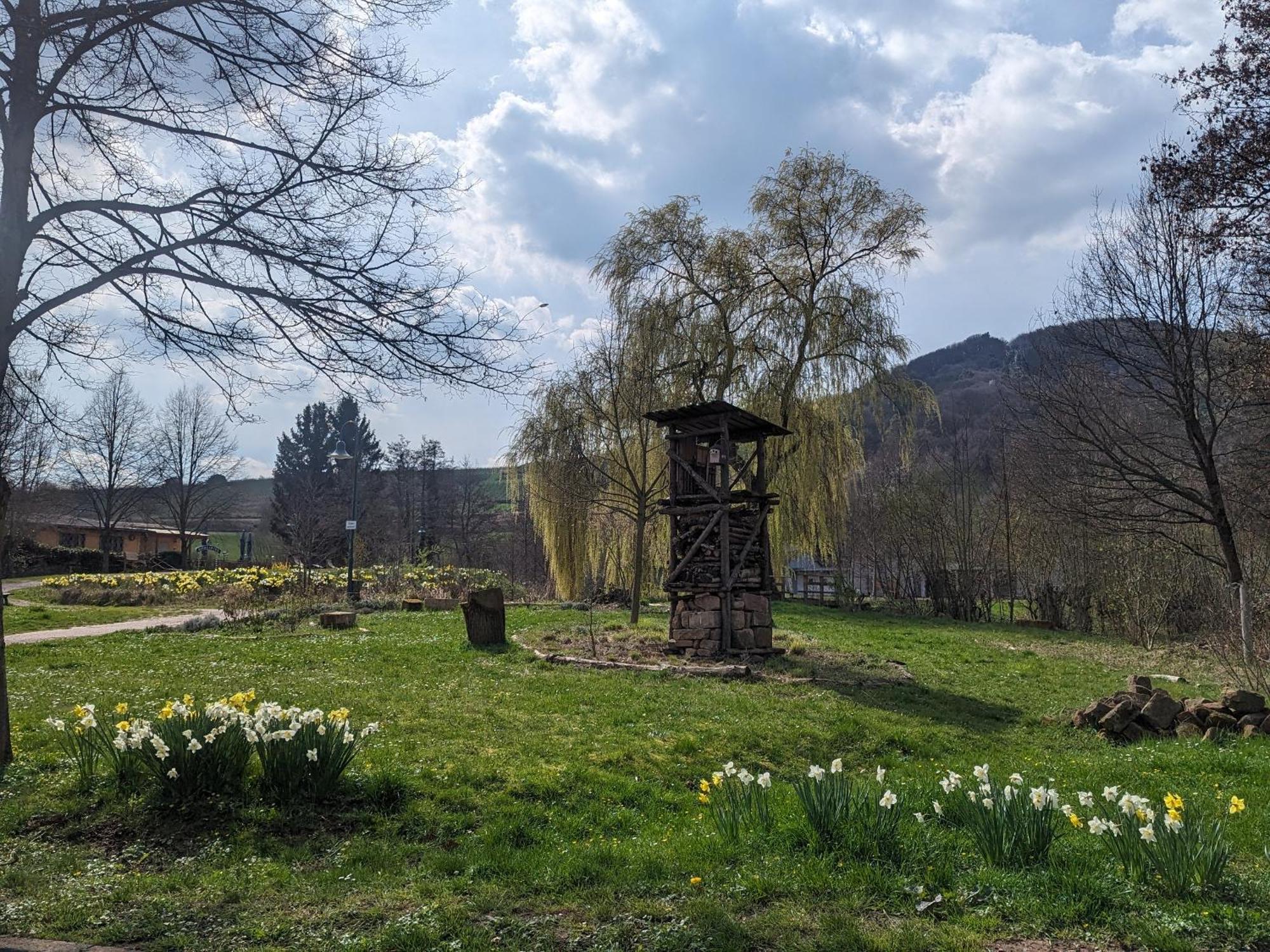 Ferienhaus Am Park Klingenmünster Εξωτερικό φωτογραφία