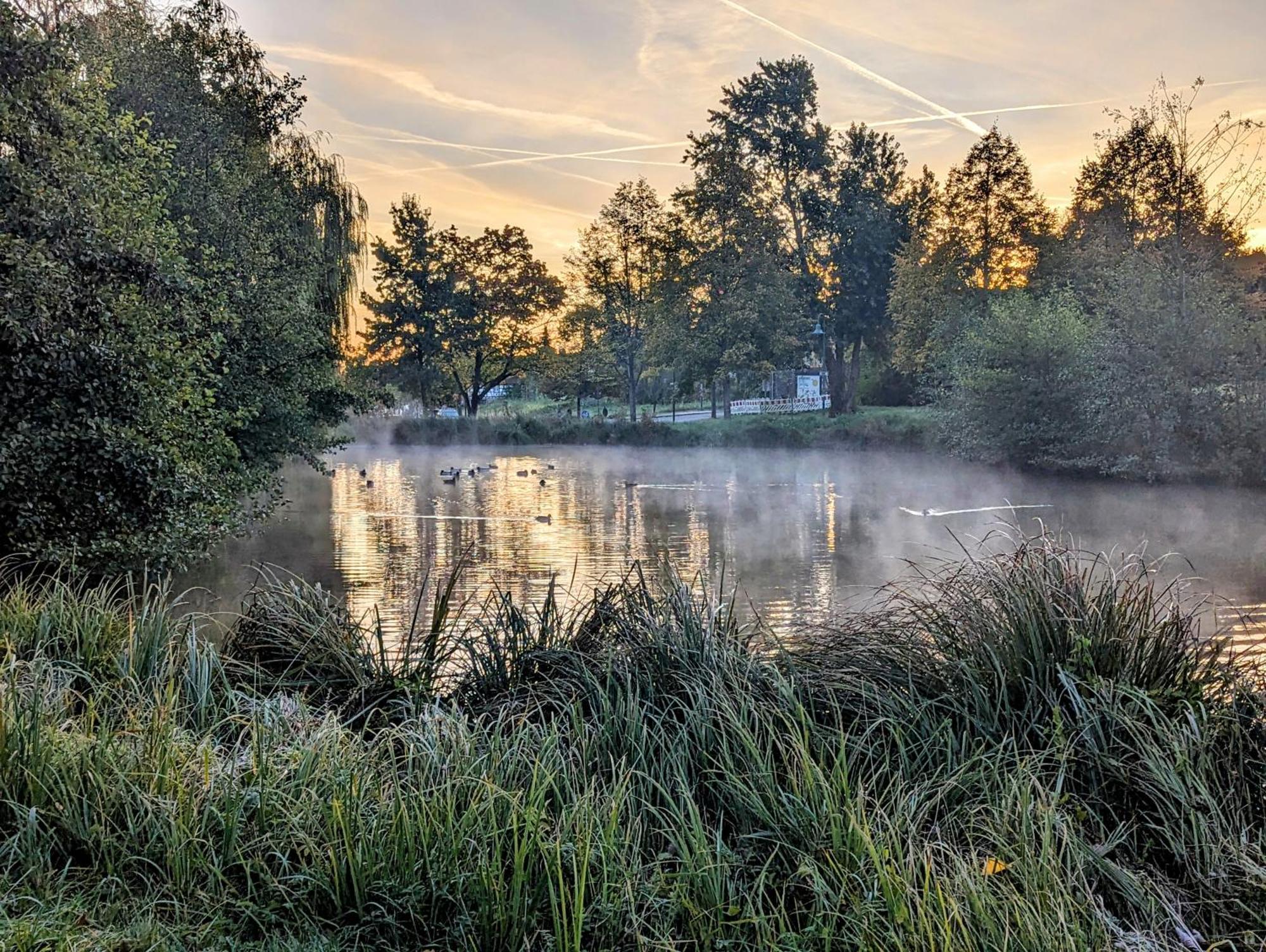 Ferienhaus Am Park Klingenmünster Εξωτερικό φωτογραφία